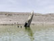 Lake Mead’s vertical speedboat is almost on dry land