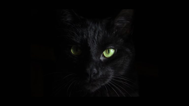 BlackCat Ransomware Gang Targeting Unpatched Microsoft Exchange Servers