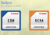 How Important Is a CEH and CHFI Certifications for an IT Organization?