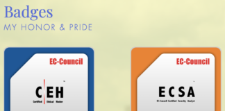 How Important Is a CEH and CHFI Certifications for an IT Organization?
