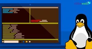 CISA Warns of Active Exploitation of ‘PwnKit’ Linux Vulnerability in the Wild