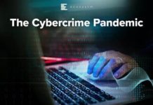 Cybercrime Has Become Epidemic Worldwide and Your Risk of Becoming the Next Victim Increases Daily!