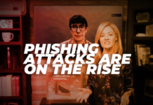 Europol Busts Phishing Gang Responsible for Millions in Losses