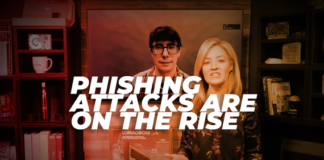 Europol Busts Phishing Gang Responsible for Millions in Losses