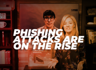 Europol Busts Phishing Gang Responsible for Millions in Losses