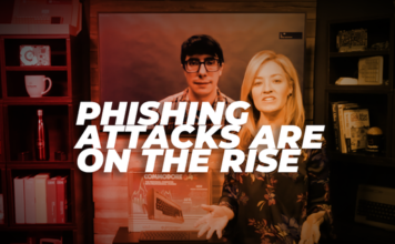 Europol Busts Phishing Gang Responsible for Millions in Losses