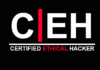 Today’s Growing Need for Certified Ethical Hackers – Seed