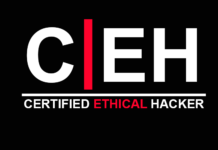 Today’s Growing Need for Certified Ethical Hackers – Seed