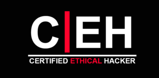 Today’s Growing Need for Certified Ethical Hackers – Seed