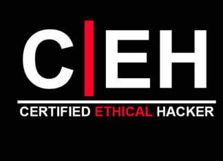 Today’s Growing Need for Certified Ethical Hackers – Seed