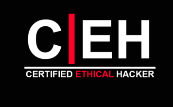 Today’s Growing Need for Certified Ethical Hackers – Seed