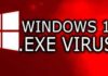 Fake Windows 11 Downloads to Distribute Vidar Malware.