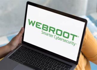 Internet Security Software Guide: How Can You Choose the Right Cyber Protection for Your Needs?